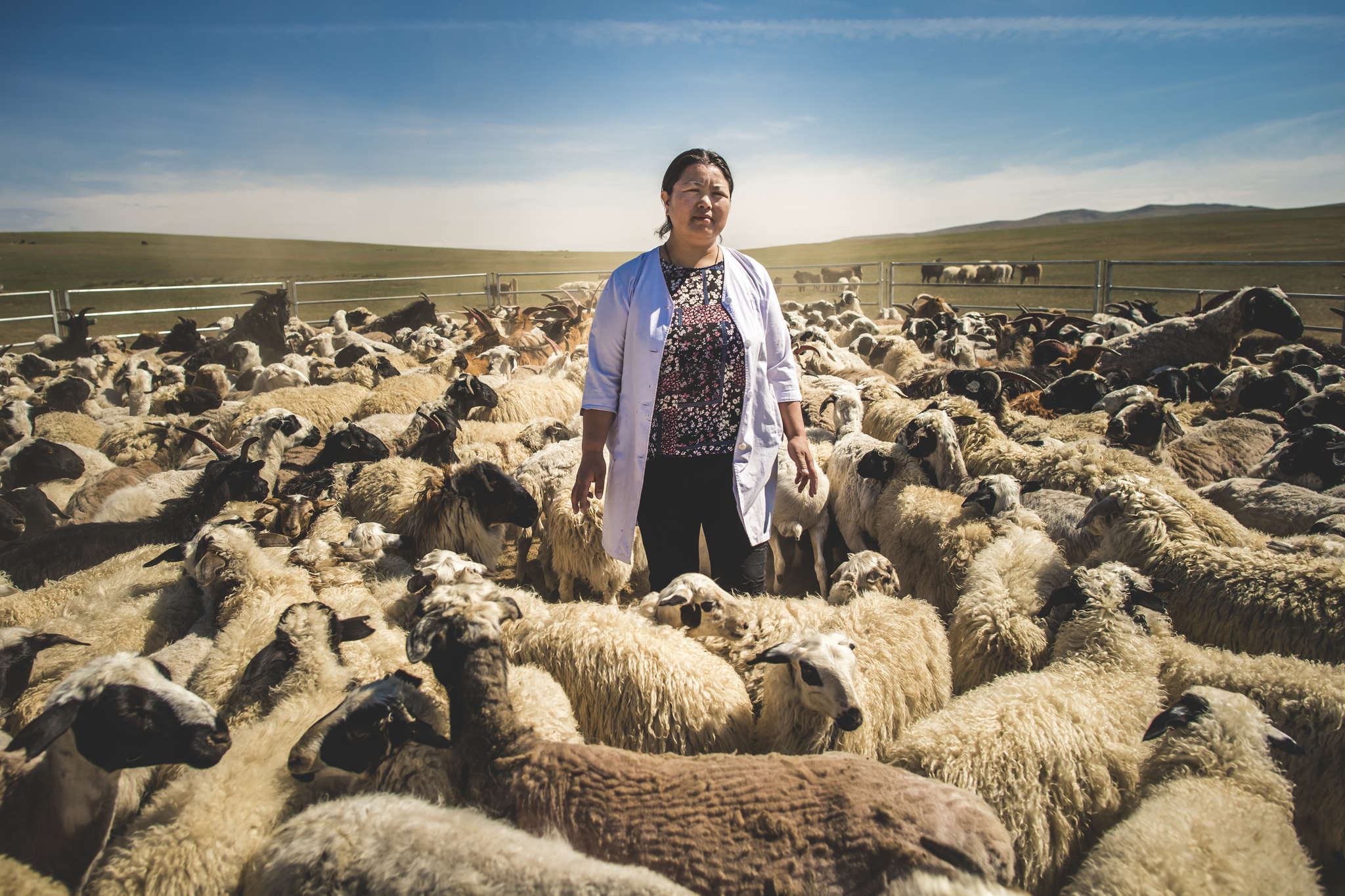 A person standing among a herd of sheep.
