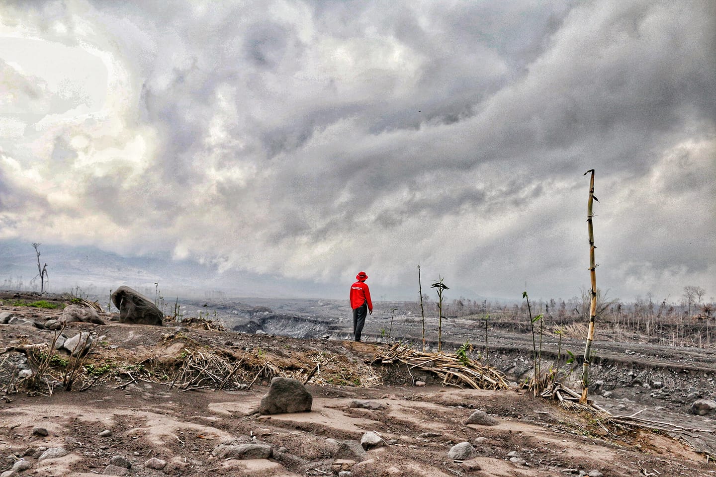 A person assessing the damage to farmland in supiturang village after the mount semeru eruption.