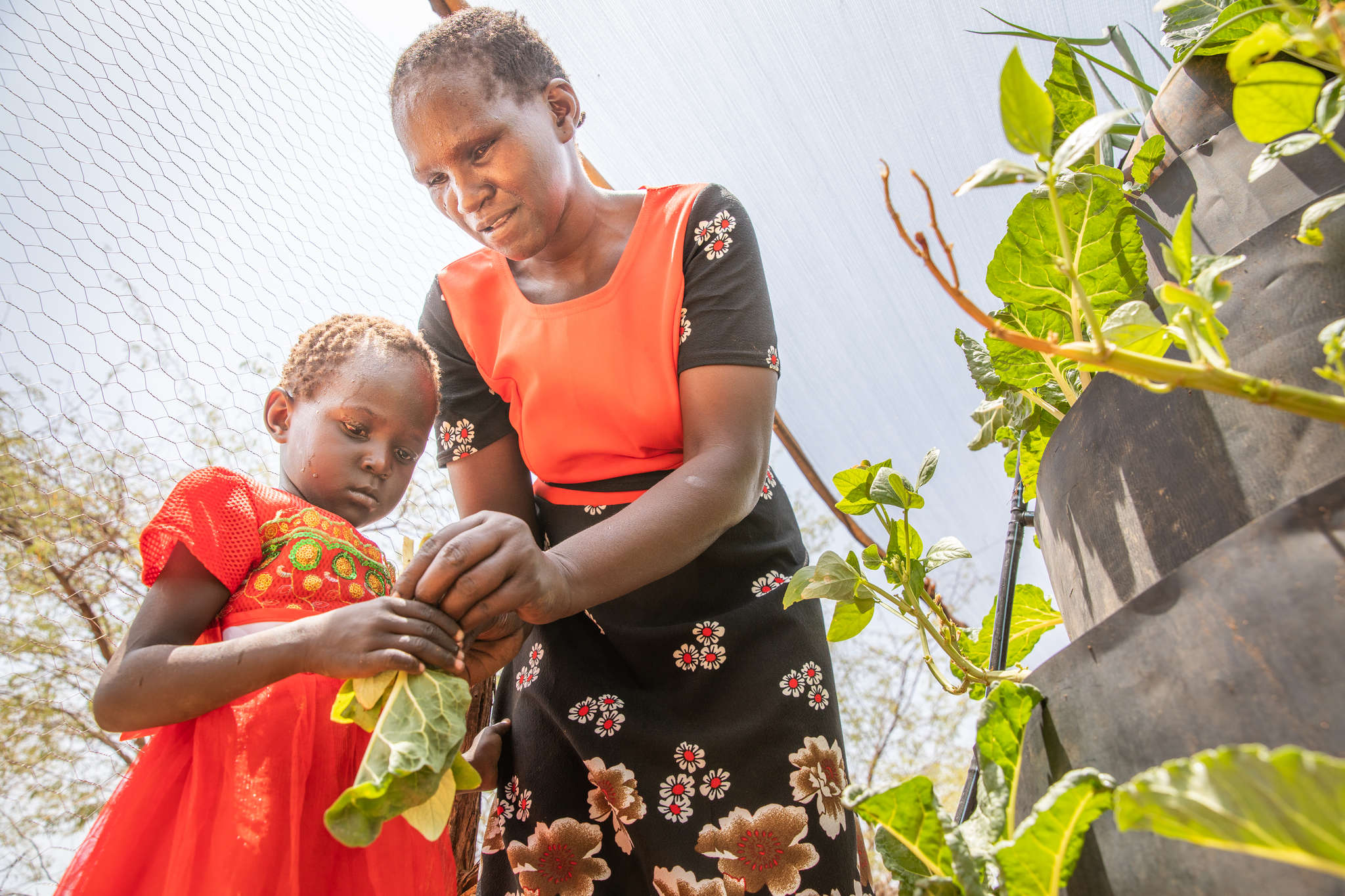 A mother teaching her daughter to pick vegetables from their garden.