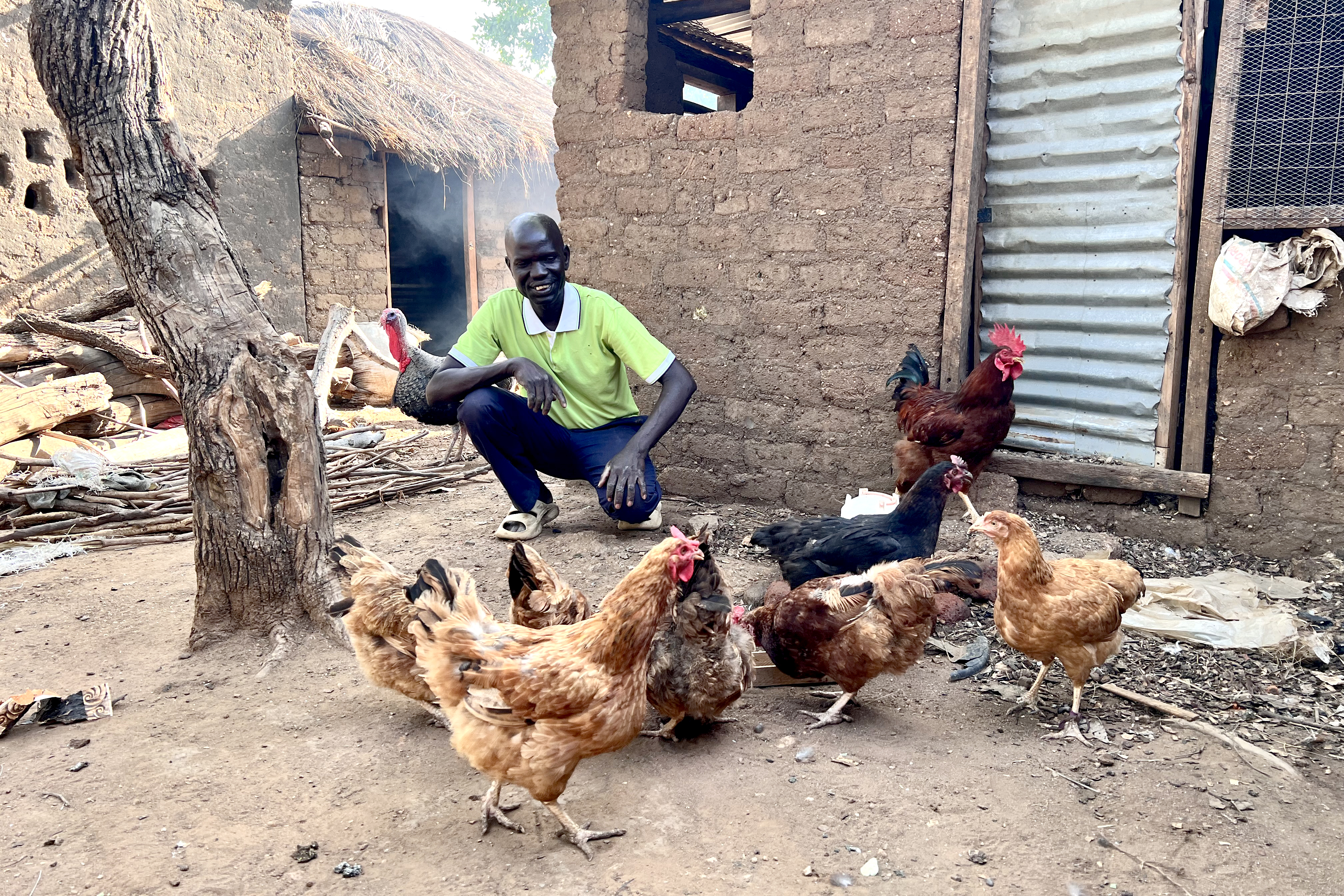 A person standing next to his poulry business chickens.