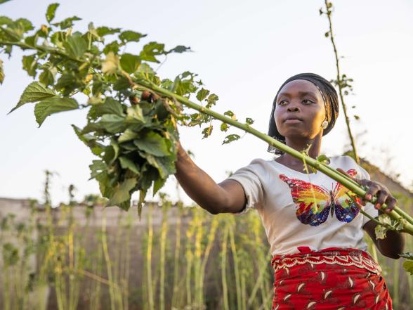 A person picking vegetables in front of their family's home.