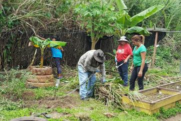 People working in a garden