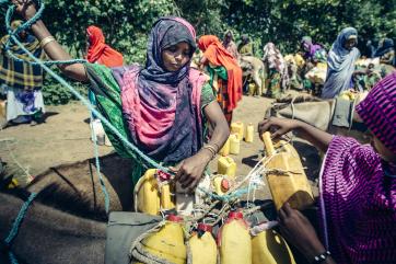 A woman ties plastic containers to a donkey using a turquoise rope