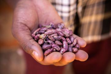 A farmer holds seeds ready for planing in kenya.