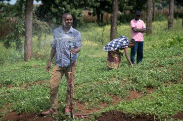 Brian mouti watering crops with a solar-powered water pump.
