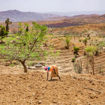 Farmer in ethiopia working on her crops