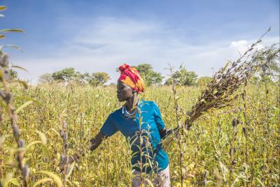 Woman in uganda standing in a field holding plants