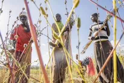 People farming in uganda