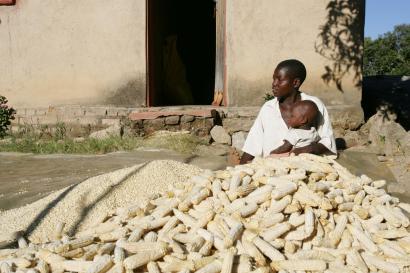 Person holding baby with pile of corn on the cob