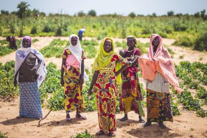 A group of people posing near rows of crops.