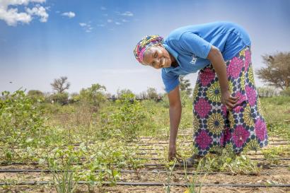 A farmer weeding a field.