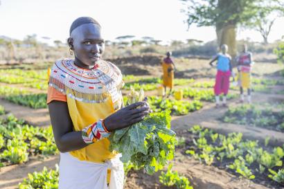 Woman harvests spinach from a communal garden.