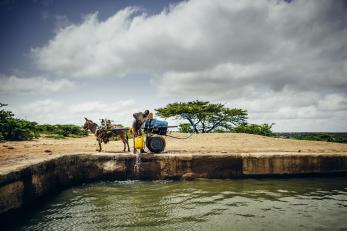 Donkey with cart next to water