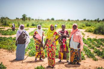 Женщины в нигере стоят перед полем
