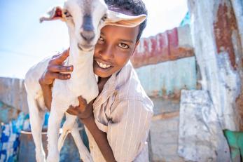 A boy embracing a goat