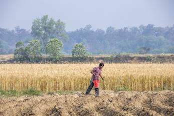 A farmer in a field in nepal
