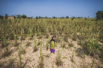 A woman stands among tall plants on very dry soil