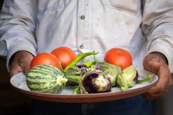 A man holds a plate with fresh eggplant, squash and tomatoes