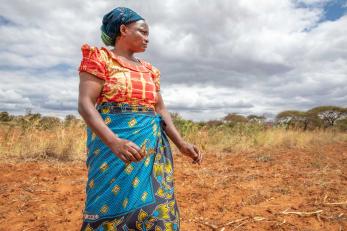 Кенийская женщина осматривает поле.