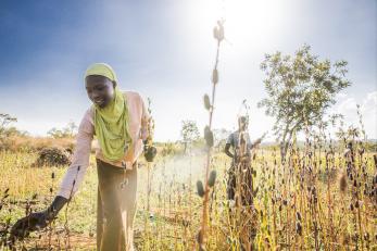 Woman in uganda in a field