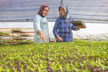 Ulfa buys seedlings from ani, the director of a women-owned nursery in indonesia where area farmers can purchase seeds and seedlings for their own farms.