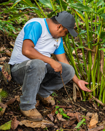 Ricardo paau xol on his farm.