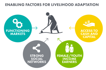 Enabling factors for livelihood adaptation