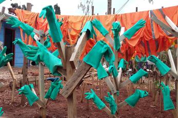 Image: Turquoise rubber gloves are hanging to dry after being sanitized