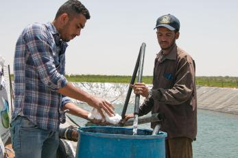 Two people working on a water system.