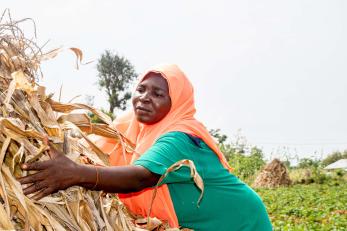 A farmer working with crops.