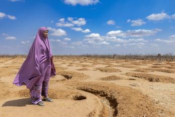 Kenyan woman looks out over arid agricultural land.