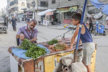 Palestinian street vendors prepares herbs to be sold as child looks on.