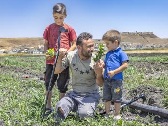 Syrian father, kneeling, and sons engage with each other in an agricultural setting.