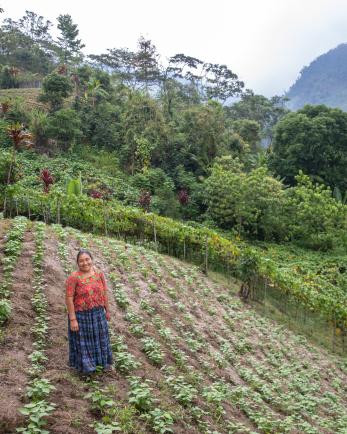 Guatemalan farmer stands smiling in field.