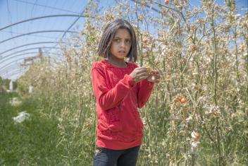 10-летняя Дуаа стоит в теплице своего отца в Сирии. Здесь и во всем мире угроза голода является повседневной реальностью. Прокрутите изображения выше и прочитайте ниже, чтобы узнать больше о глобальном голоде и о том, что можно сделать, чтобы положить ему конец. ФОТО: Эзра Миллстайн/Mercy Corps
