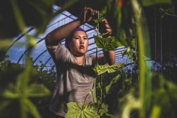 In Mongolia where winters are extreme and nomadic herding is a way of life, livestock health can make or break a family. Mercy Corps provides seeds to help herders grow more fodder for their animals, as well as healthy food for themselves—like the cucumbers growing in this vast greenhouse.