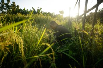 On a Timor Leste in the south Pacific, Lino, 34, grows rice, corn, bananas, cassava, sweet potatoes and beans. With Mercy Corps’ help, he’s also learned to farm and sell tilapia. In a country especially prone to a changing climate, these healthy crops have transformed Lino’s family: he sells the rice for profit and harvests the rest for his wife and three children. "My dream is to have all of my children go to school," he says.