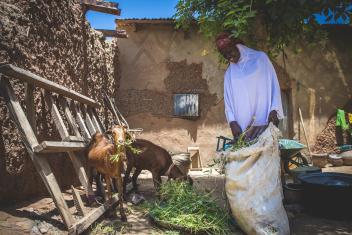 Fatsuma and her sister, Aichatou, will be the sole caretakers for the goats until they have kids.