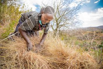 Ganassa, 45, cuts grass on a steep hillside near her village in Ethiopia. Mercy Corps is working with people to protect their land so they have enough grass to feed their cattle and survive the dry season. As drought becomes worse, rangeland like this becomes more precious to keep cattle healthy.