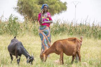 Hadiara’s two goats are a critical source of milk and income for her family. She and millions of others who raise livestock depend on rainfall to provide water and green pasture to keep their animals alive and healthy.