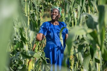 AgriFin partnered with the UN World Food Programme’s Farm to Market Alliance (FtMA) to help 70,000 smallholder farmers across Kenya connect to markets. AgriFin’s support of FtMA helped Rose Siama coordinate with her community of farmers to grow, aggregate, and sell crops that were in demand.