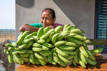 In Nepal, where climate change causes frequent flooding, Mercy Corps established a Women Farmers Group to plant banana trees which are less easily damaged by floods. Within five years, the 25 members have increased their income and savings to support their families.