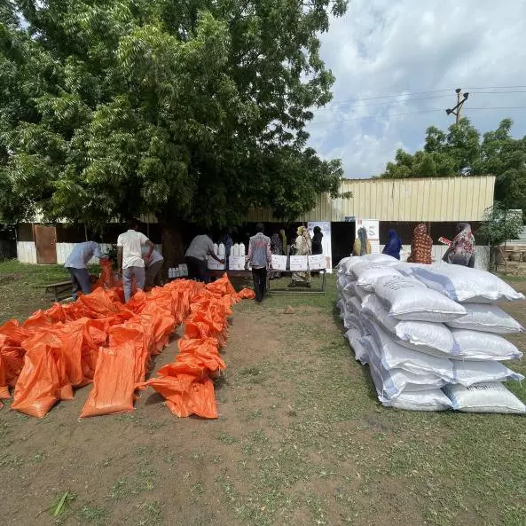 Remote Sensing to Monitor and Anticipate Impact of Conflict on