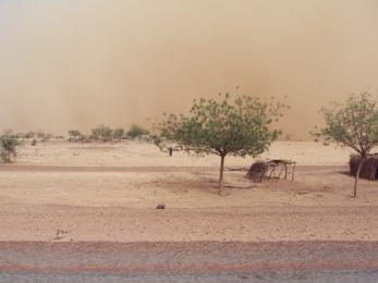 After rains did not arrive, harvests failed throughout niger in 2011. now the land is dry and barren, and families are struggling to find enough to eat. photo: cully lundgren/mercy corps
