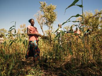 Woman in a crop in uganda