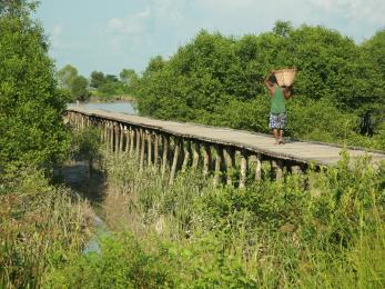 Myanmar rural scene, with an individual walking on a foot bridge.