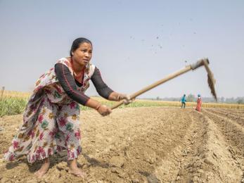 A person working farmland to plant sugarcane. 