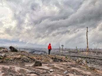 A person assessing the damage to farmland in supiturang village after the mount semeru eruption.