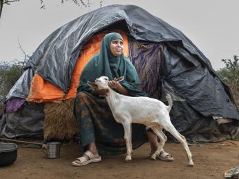 Nomadic pastoralist woman poses with her goat outside of a temporary shelter in wajir, kenya.