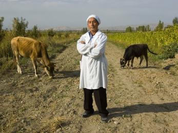 Man standing in farm field with livestock